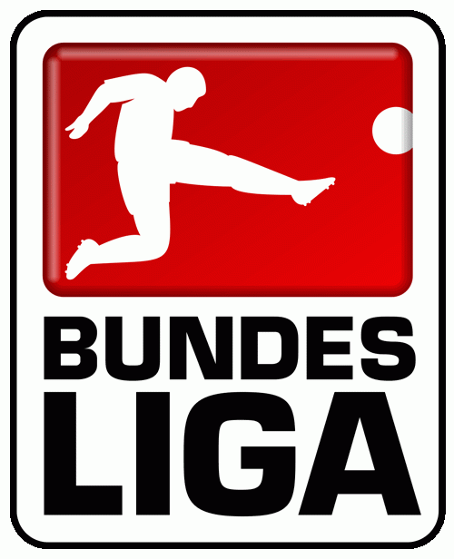 Bundesliga 2002-2009 Primary Logo iron on transfers